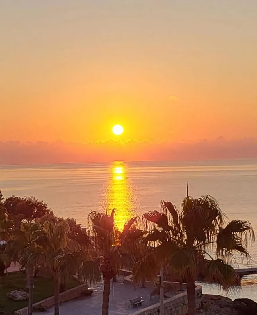 Apartamento Arcadia Cala Millor  España